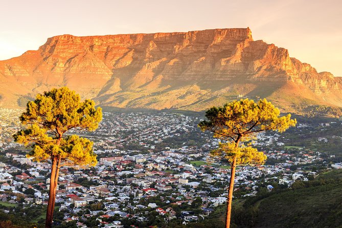 Table Mountain, Bo-Kaap and Robben Island - Solo Travelers - Private Tour - The Sum Up