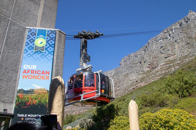 Table Mountain, Boulders Penguins & Cape Point Private Tour From Cape Town - Tour Overview and Inclusions
