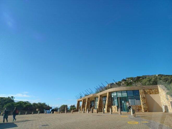 Table Mountain, Cape of Good and And African Penguin Daytour - Inclusions