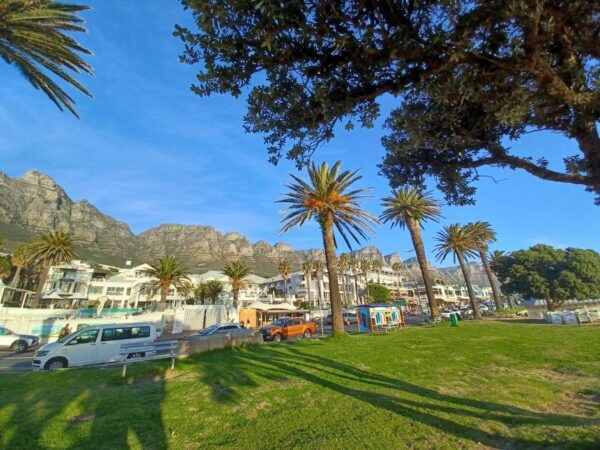 Table Mountain, Cape of Good and And African Penguin Daytour - The Sum Up