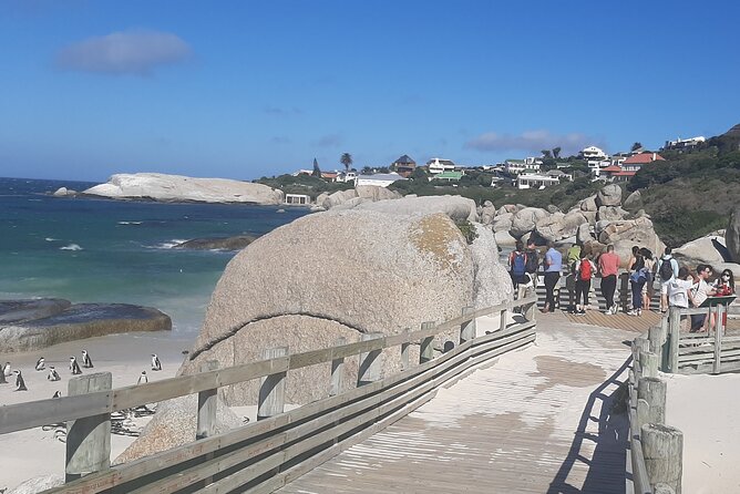 Table Mountain & Cape of Good Hope With Photographs - Pickup and Cancellation Policy