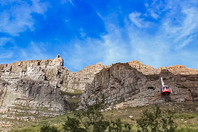 Table Mountain, Cape Point, Penguins & Boulders Beach - Pricing and Booking Details