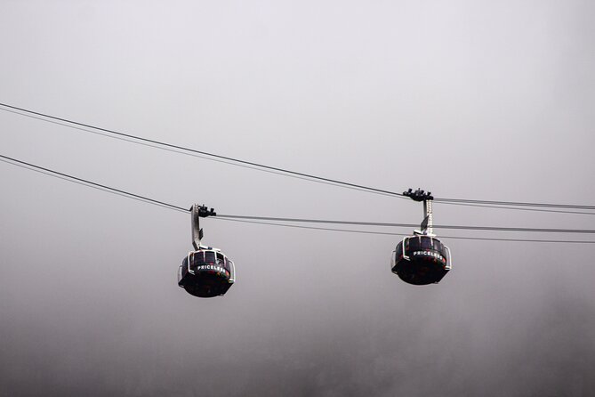 Table Mountain, Cape Point, Penguins & Boulders Beach - Common Questions