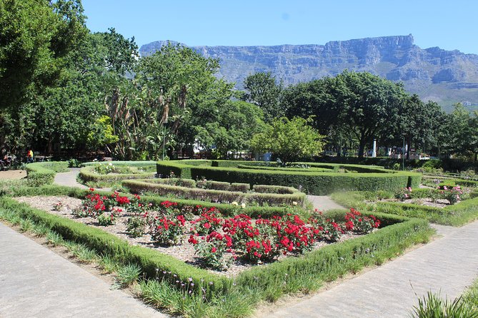 Table Mountain City Tour Camps Bay Kirstenbosch Gardens Plus All Tickets Shared - Itinerary Details