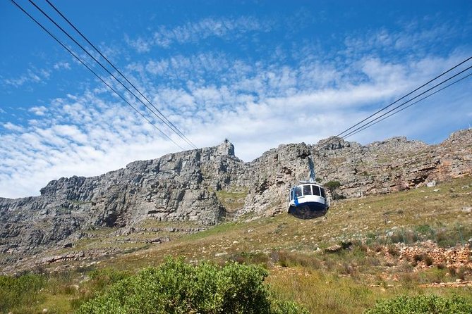 Table Mountain Experience With Half-Day Private Chauffeur - Reviews