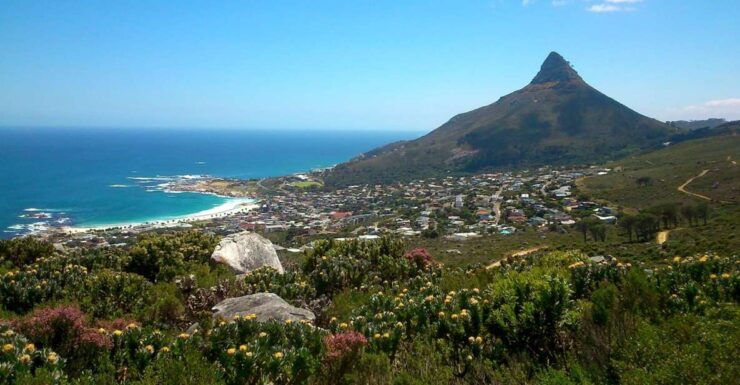 Table Mountain: Gentle Guided Meander for the Whole Family - Activity Details