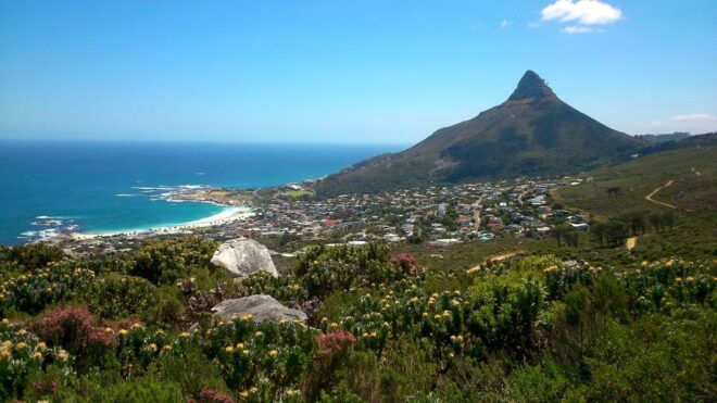 Table Mountain: Gentle Guided Meander for the Whole Family - Booking Information