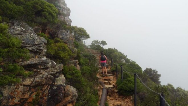 Table Mountain: Gentle Guided Meander for the Whole Family - Customer Reviews