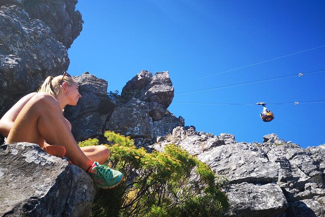 Table Mountain Half Day Hike: India Venster Trail - Cancellation Policy and Weather Conditions