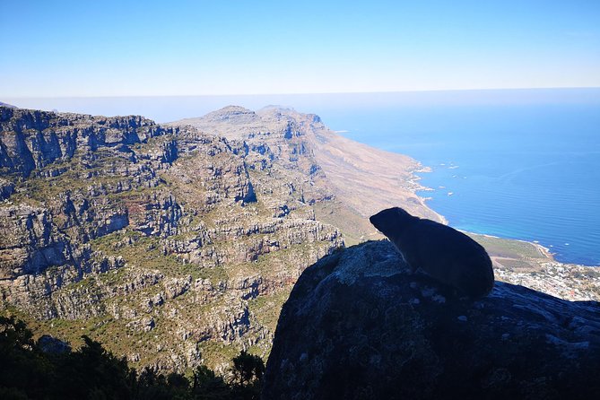 Table Mountain Half Day Hike: India Venster Trail - The Sum Up