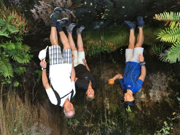 Table Mountain Hike With Local Tour Guide - The Sum Up