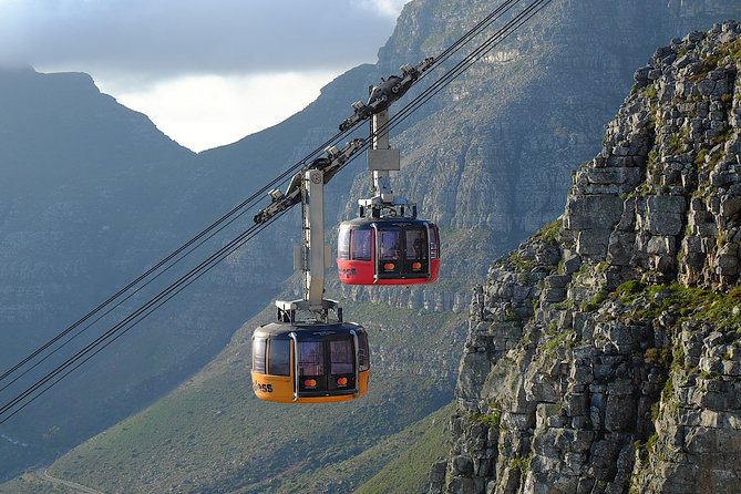 Table Mountain, Kirstenbosch and Constantia Winelands Full Day Private Tour - Visit to Historic Wine Estate