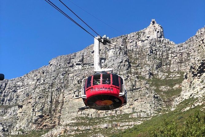 Table Mountain & Mandela Freedom Full Day Tour - Traveler Reviews and Ratings