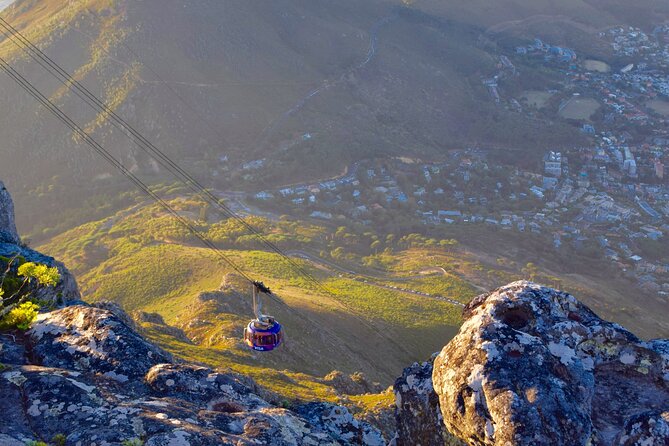 Table Mountain & Mandela Freedom Full Day Tour - Questions and Assistance