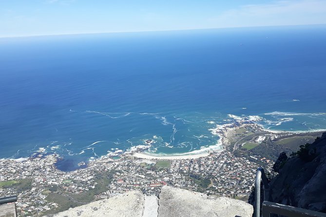Table Mountain, Penguin and Cape of Good Hope - Tour Highlights