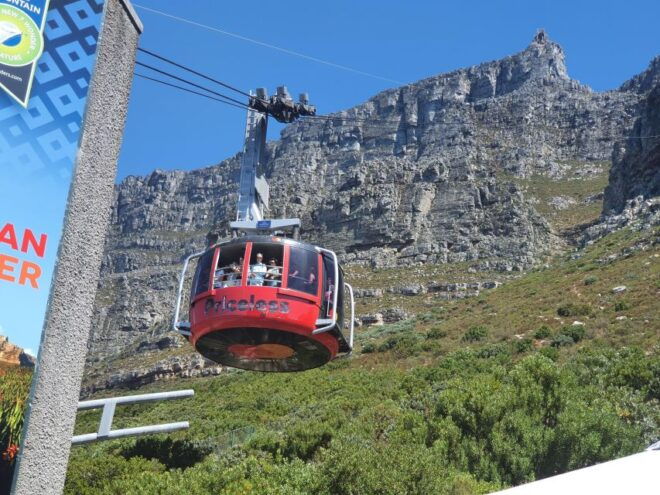 Table Mountain, Penguins & Cape of Good Hope Private Tour - Tour Inclusions