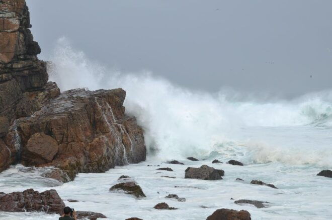 Table Mountain, Penguins & Cape of Good Hope Private Tour - Customer Review