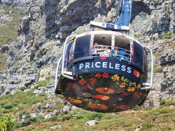 Table Mountain, Penguins & Cape of Good Hope Private Tour - Frequently Asked Questions