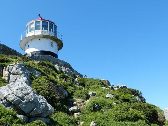 Table Mountain Penguins & Cape Point Day Tour From Cape Town - Customer Reviews