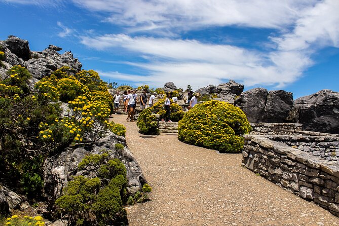Table Mountain Tour - Inclusions
