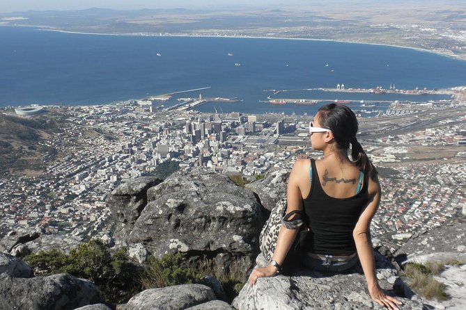 Table Mountain, Wine, and Penguins Small-Group Highlights Tour - Cape Town - Lowest Price Guarantee and Inclusions