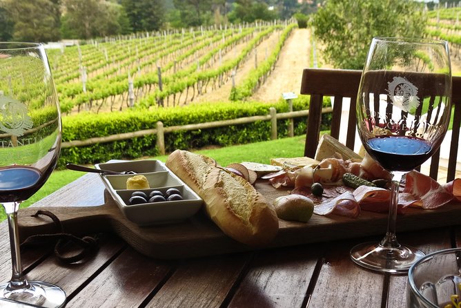 Table Mountain, Wine, and Penguins Small-Group Highlights Tour - Cape Town - Reservation Process and Cancellation Policy