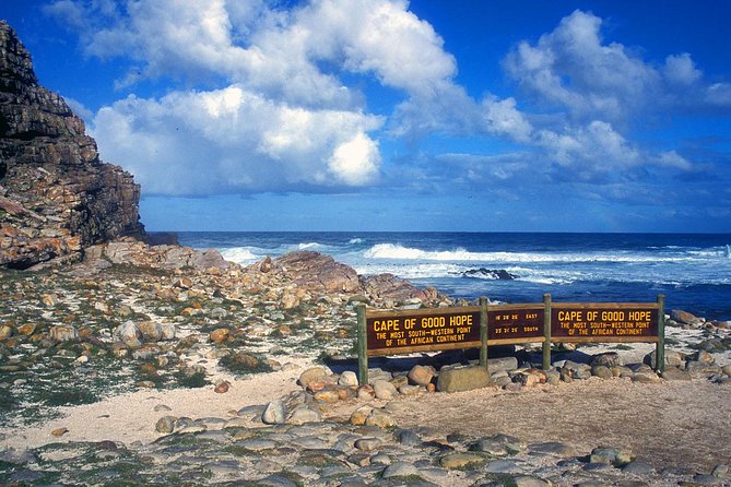 Table Mountain, Wine, and Penguins Small-Group Highlights Tour - Cape Town - The Sum Up