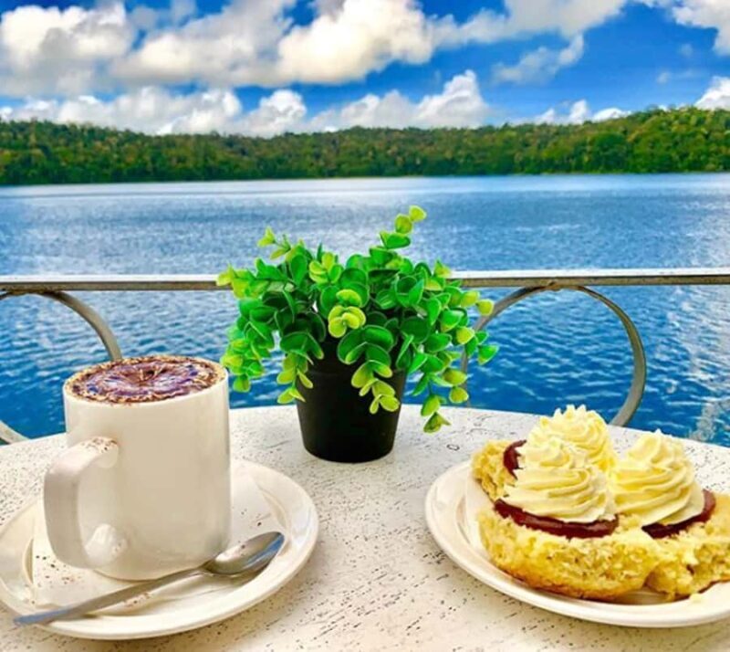 Tablelands Sights & Daintree Rainforest (2 Day Tours) - Good To Know