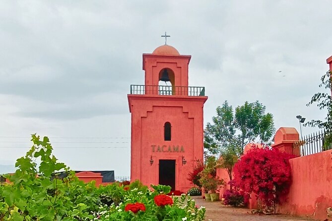 Tacama Wine Experience and Pisco Museum and Pisco Sour Class - Inclusions