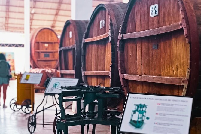 Tacama Wine Experience and Pisco Museum and Pisco Sour Class - Accessibility Information