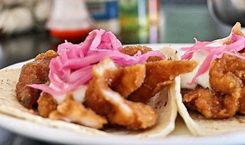 Taco Fest at Cozumel - Exploring the Itinerary: A Deep Dive into the Taco Tour