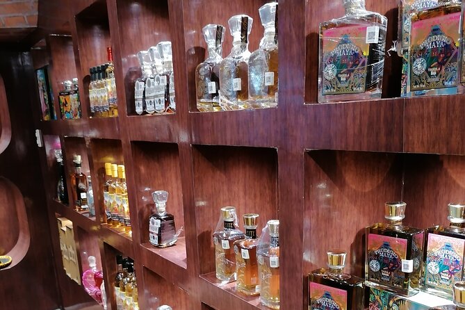 TACO TOUR CANCUN - City Tour, Tacos, Tequila, Cerveza & Shopping - Hidden Local Spots