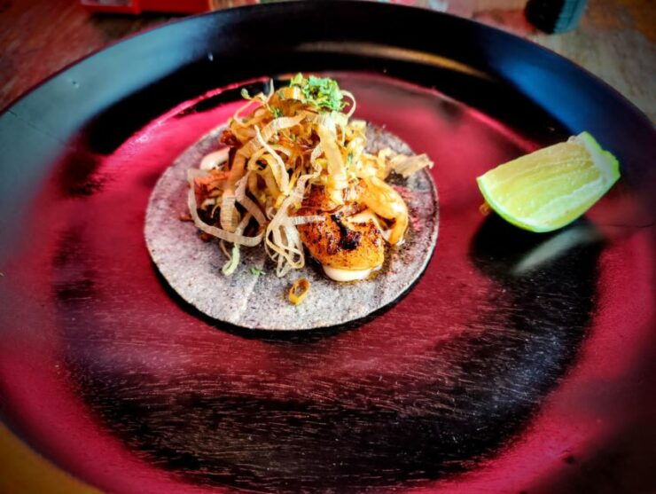 Taco Tour Holbox & Cocktails - Booking Details