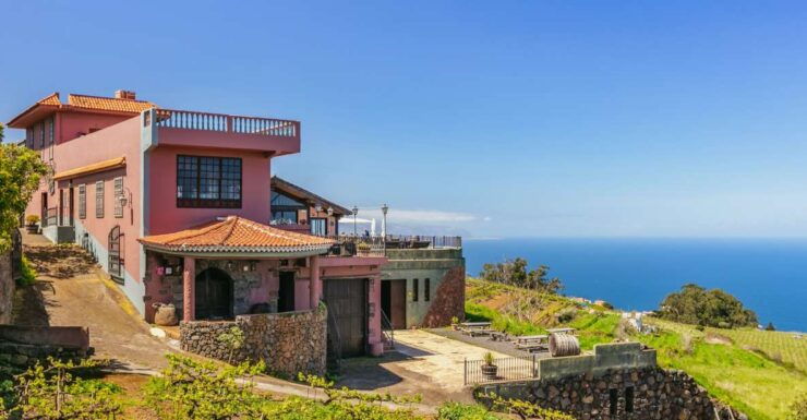 Tacoronte: Guided Winery Tour With Wine and Cheese Tastings - Activity Details