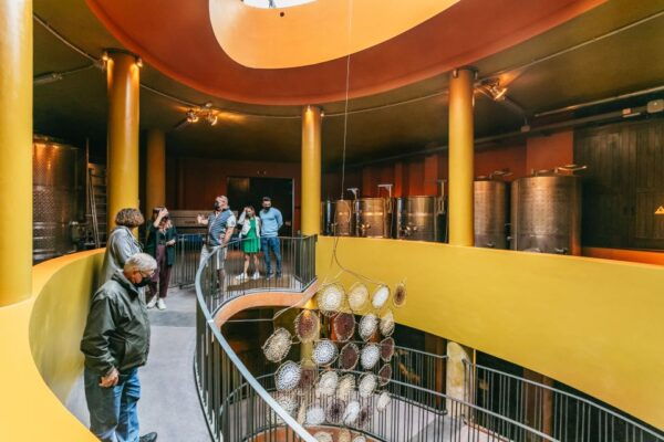 Tacoronte: Guided Winery Tour With Wine and Cheese Tastings - Common Questions