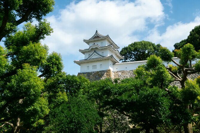 Tadao Ando's Architectural Aesthetics Journey in Kansai - Good To Know