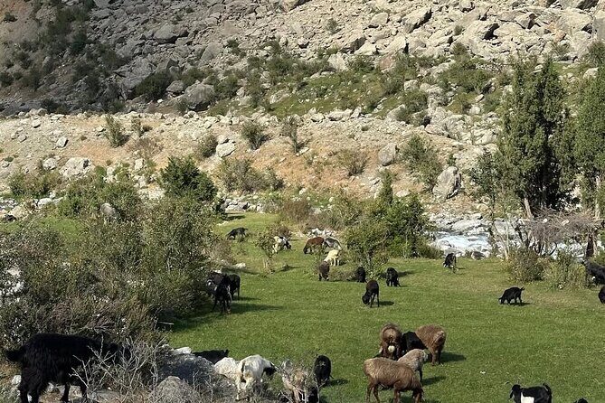 Tadjikistan 7 Lakes Day Trip from Samarkand with Lunch - Exploring the Tadjikistan 7 Lakes Day Trip from Samarkand: An Authentic Mountain Adventure