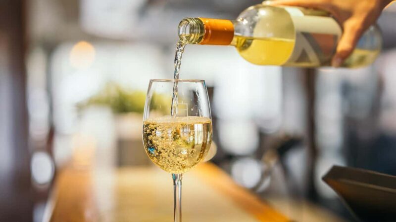 Tadoussac/Charlevoix: VIP Lounge OR UpperDeck Whale Watching - Overview of the Whale Watching Tour