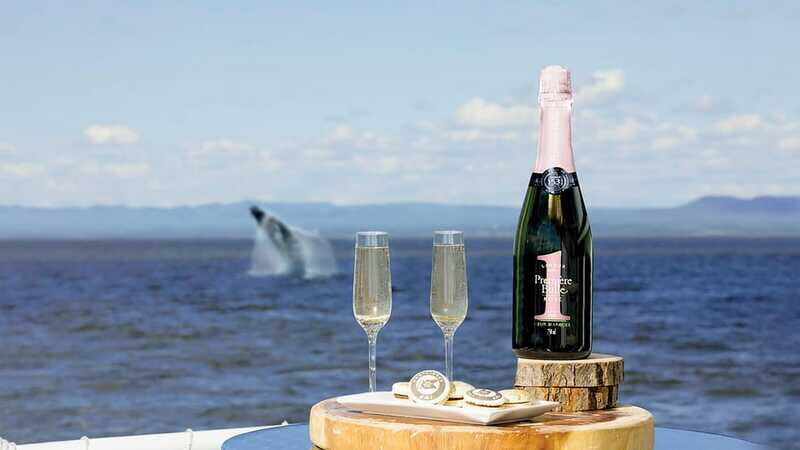 Tadoussac/Charlevoix: VIP Lounge OR UpperDeck Whale Watching - FAQ