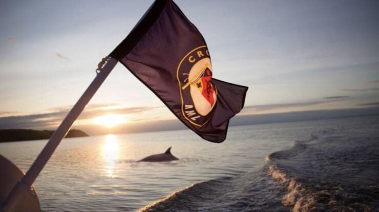 Tadoussac: Whales and Fjord Cruise Morning or Twilight Tour - Tour Duration