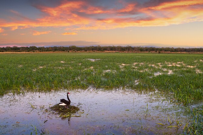Tae Rak (Lake Condah) 2-Hour Cultural Walk - Wildlife Observation at Lake Condah