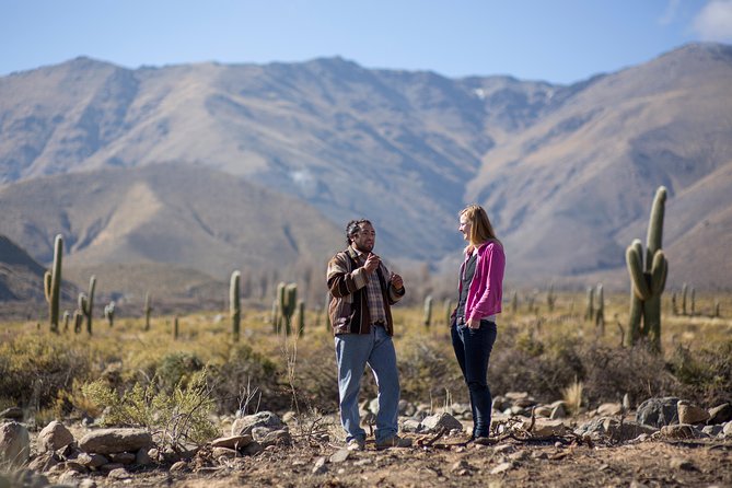 Tafi Del Valle Half-Day Tour From Tucuman - Logistics and Pickup