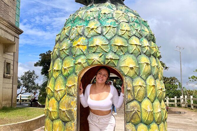 Tagaytay Day Tour sightseeing with Panoramic Taal volcano view - Who Should Consider This Tour?