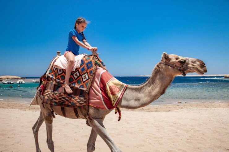 Taghazout: Guided Sunset Camel Ride on the Beach - Experience Highlights of Sunset Camel Ride