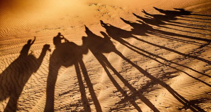 Taghazout: Moroccan Barbecue and Camel Ride Tour - Activity Details