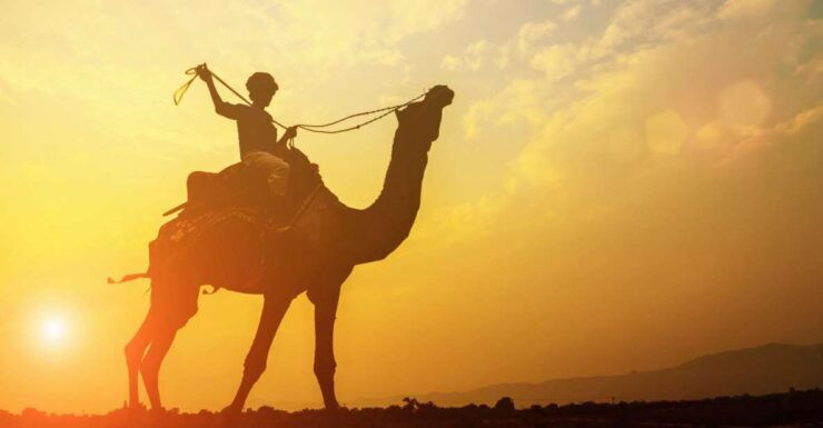 Taghazout: Moroccan Barbecue and Camel Ride Tour - Experience Highlights