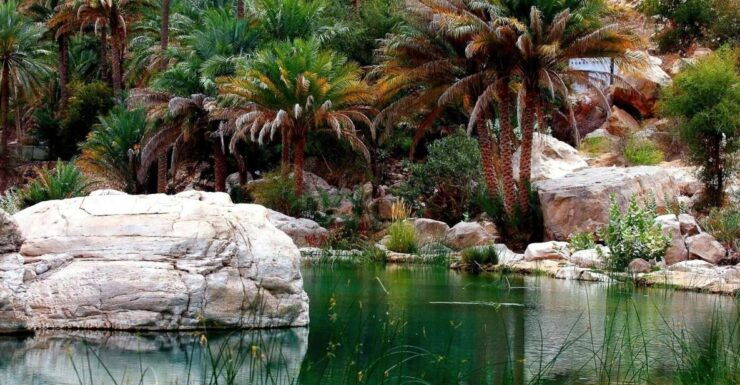 Taghazout: Paradise Valley Day Trip With Lunch & ATV Options - Activity Information