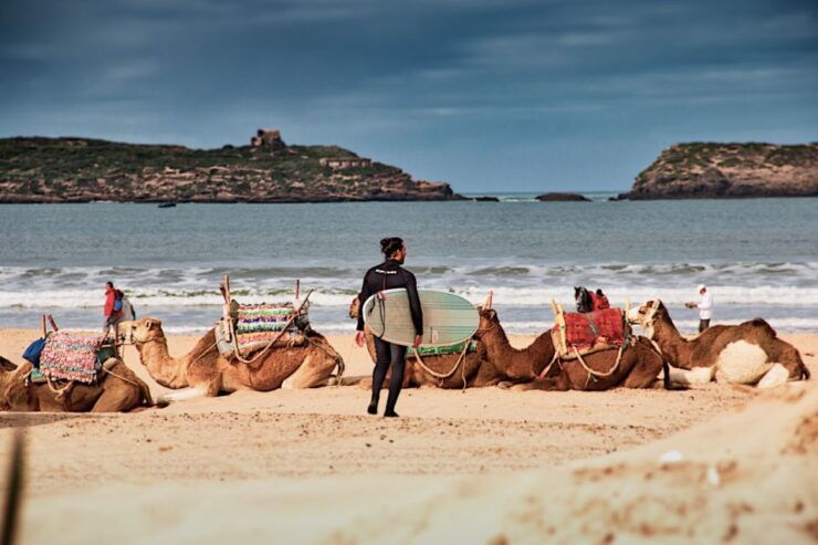 Taghazout: Sunset Beach Camel Ride With Hotel Transfers - Experience Highlights