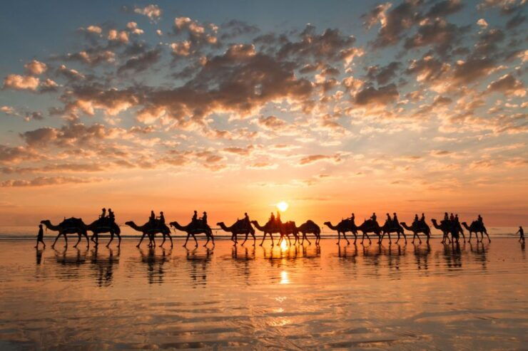 Taghazout: Sunset Camel Ride - Experience Highlights