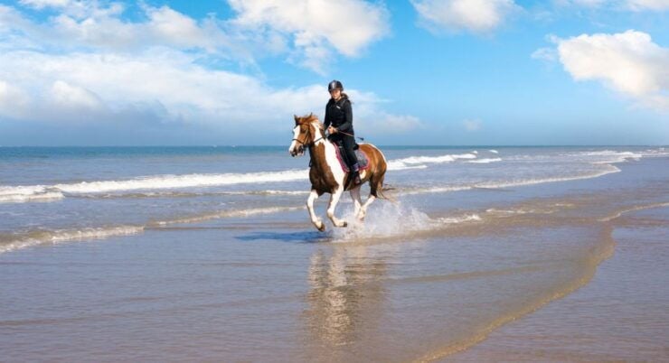 Taghazout: Sunset Horse Riding Experience on the Beach - Booking Information